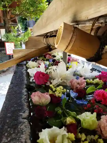 鳩森八幡神社の手水