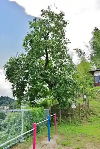 西念寺(福島県)