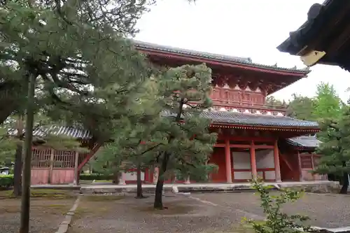 龍源院(京都府)