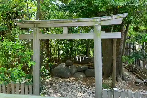 伊勢山皇大神宮の鳥居