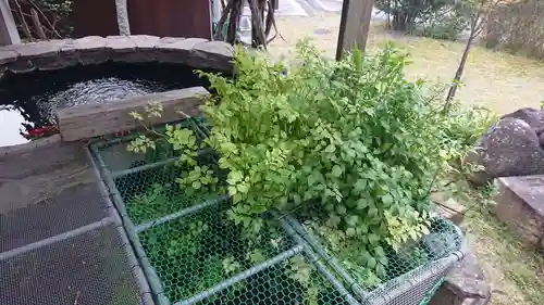 満願寺のその他建物