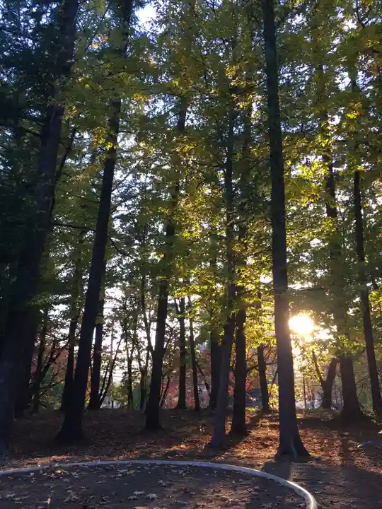 大谷地神社の自然