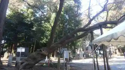 北野天神社のその他建物