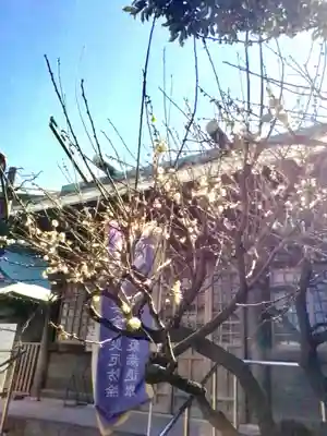 國領神社(東京都)