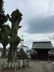 長徳寺(神奈川県)