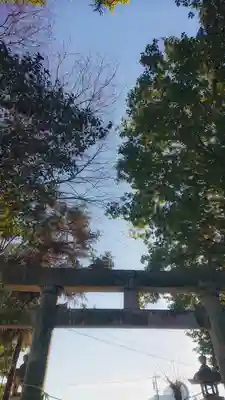 十二所社の鳥居