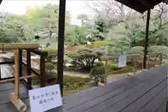 宝鏡寺の庭園