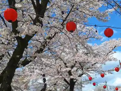 仙台大神宮の{uncategorized: "未分類", other: "その他", undefined: "問題あり", building: "その他建物", grave: "お墓", sacred_gate: "鳥居", guardian: "狛犬", statue: "像", buddha: "仏像", history: "歴史", nature: "自然", garden: "庭園", animal: "動物", pagoda: "塔", temizu: "手水舎", mountain_gate: "山門・神門", sanctuary: "本殿・本堂", subordinate: "末社・摂社", art: "芸術", scenery: "景色", jizo: "地蔵", ema: "絵馬", goshuin: "御朱印", omikuji: "おみくじ", items: "授与品その他", amulet: "お守り", goshuincho: "御朱印帳", eats: "食事", festival: "お祭り", votive_dance: "神楽", shichigosan: "七五三参", wedding: "結婚式", experience: "体験その他", initially: "初詣", around: "周辺", anti_infection: "感染症対策"}