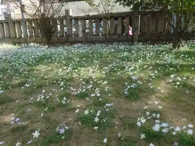 八幡橋八幡神社の自然