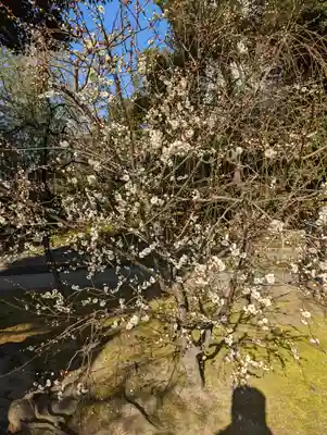 城南宮(京都府)