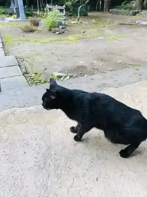 蚶満寺(秋田県)