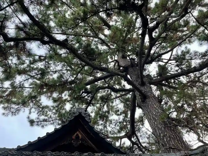 玄国寺(東京都)