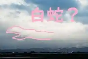 白狐山光星寺(山形県)