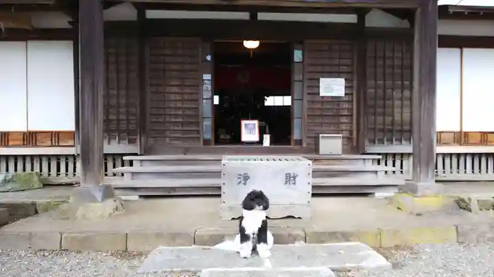 嶺南寺の本殿・本堂