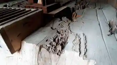 蜂神社(岩手県)