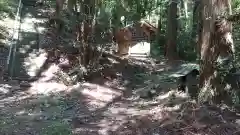 鹿島神社(茨城県)