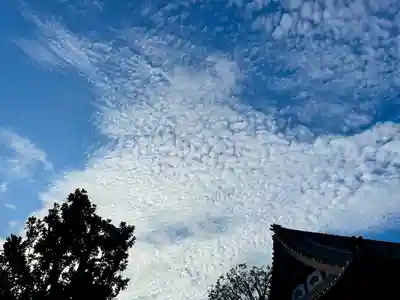 圓能寺(東京都)