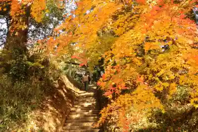 香取神宮(千葉県)