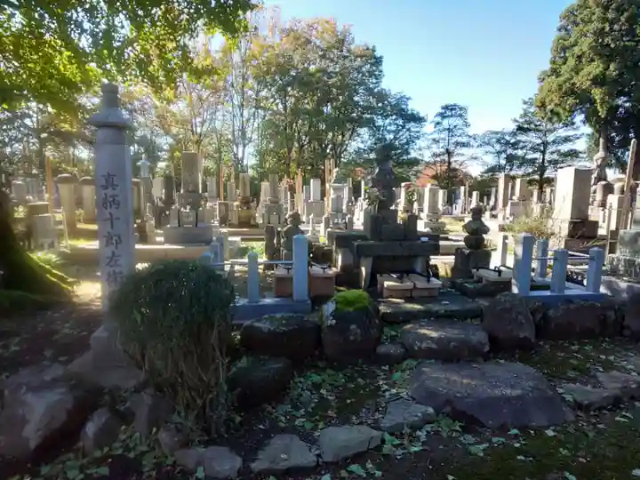 興徳寺(福井県)