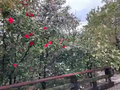 溝旗神社（肇國神社）(岐阜県)