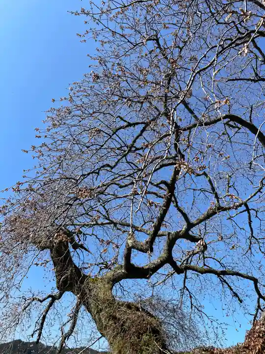 北野神社(福島県)