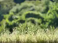 高司神社〜むすびの神の鎮まる社〜(福島県)