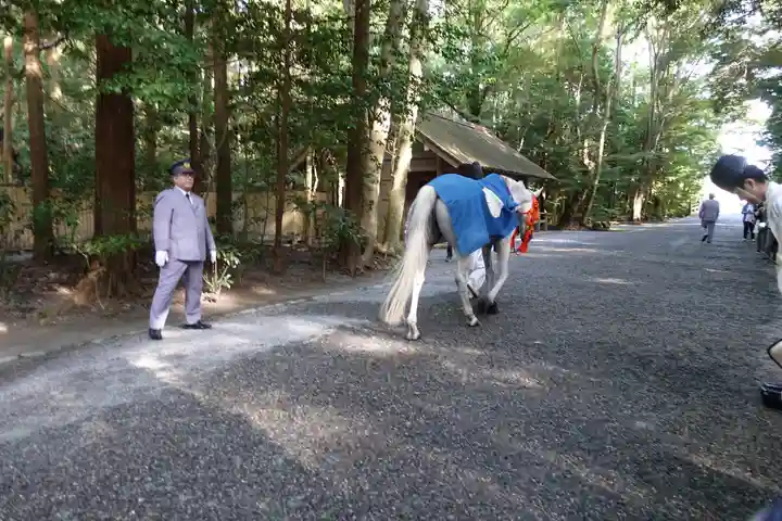 伊勢神宮外宮(豊受大神宮)の動物