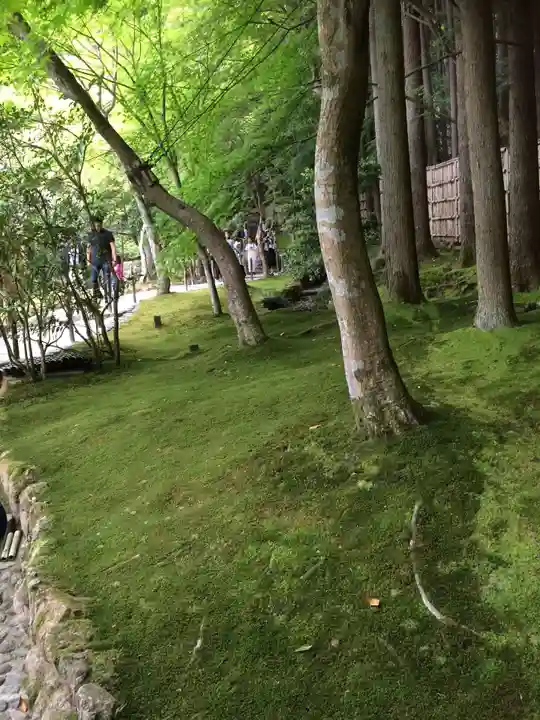 慈照寺(慈照禅寺・銀閣寺)の庭園