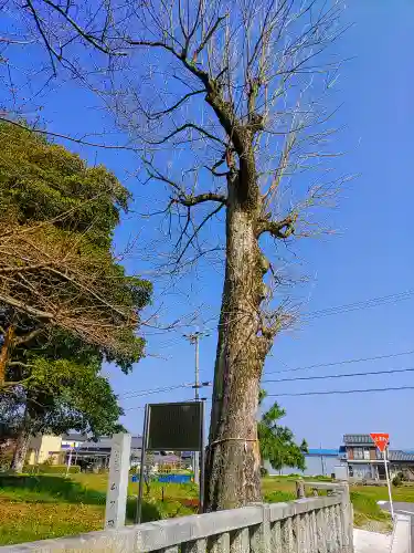 日吉社（加納）の自然