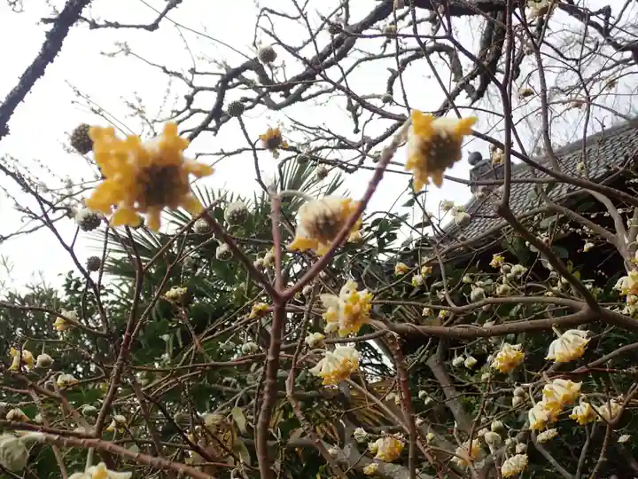 荏柄天神社(神奈川県)