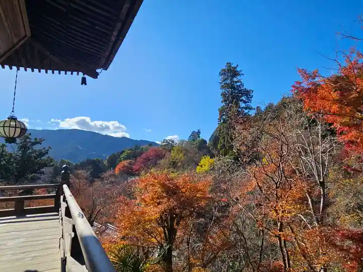 長谷寺(奈良県)