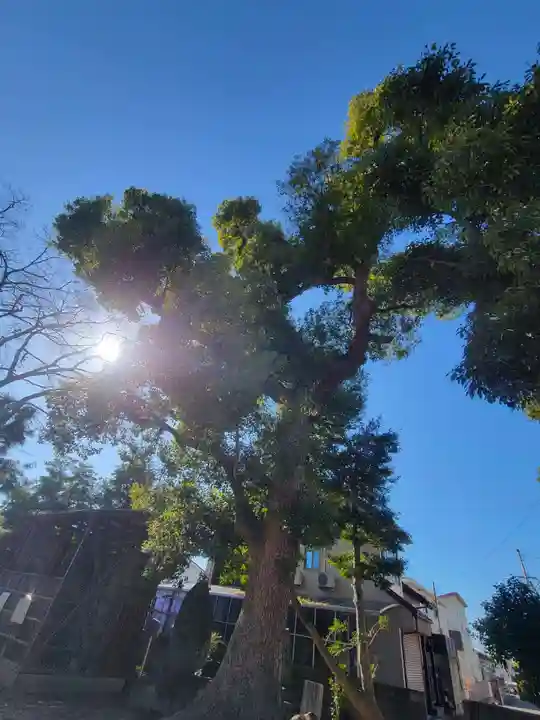 三島大明神社(愛媛県)