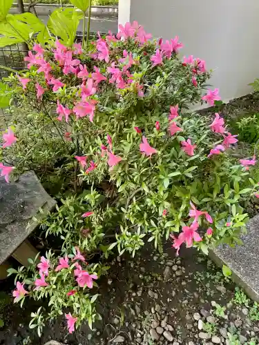 入一地蔵菩薩•入一観音菩薩(東京都)