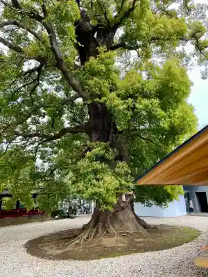 栄誉権現社(東京都)