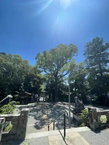 阿蘇神社の{uncategorized: "未分類", other: "その他", undefined: "問題あり", building: "その他建物", grave: "お墓", sacred_gate: "鳥居", guardian: "狛犬", statue: "像", buddha: "仏像", history: "歴史", nature: "自然", garden: "庭園", animal: "動物", pagoda: "塔", temizu: "手水舎", mountain_gate: "山門・神門", sanctuary: "本殿・本堂", subordinate: "末社・摂社", art: "芸術", scenery: "景色", jizo: "地蔵", ema: "絵馬", goshuin: "御朱印", omikuji: "おみくじ", items: "授与品その他", amulet: "お守り", goshuincho: "御朱印帳", eats: "食事", festival: "お祭り", votive_dance: "神楽", shichigosan: "七五三参", wedding: "結婚式", experience: "体験その他", initially: "初詣", around: "周辺", anti_infection: "感染症対策"}