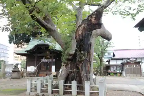 阿邪訶根神社の自然