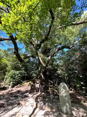 壺井八幡宮(大阪府)