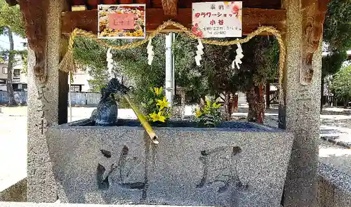 三津厳島神社の手水舎