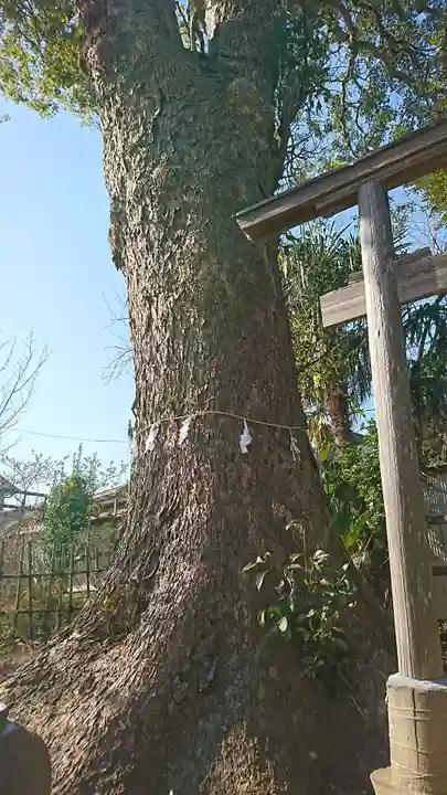 竹駒稲荷神社の自然