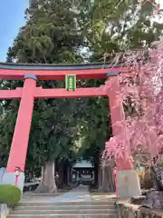 河口浅間神社の鳥居