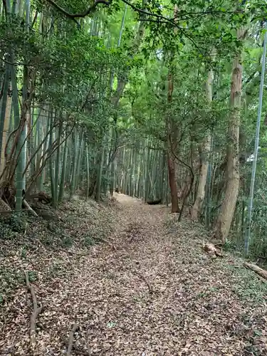 三社神社の自然