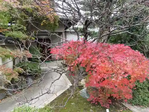 薬師院(神奈川県)