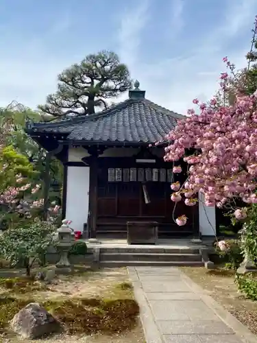 本満寺（本願満足寺）のその他建物