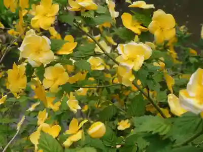 三渓園天満宮の自然