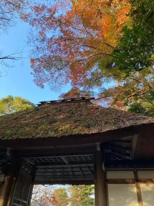京都法然院歳時記 法然院(京都府蹴上駅)の投稿(1回目)。善氣山 法然院 萬無敎寺