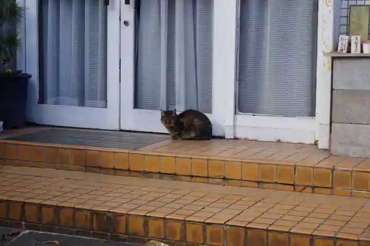 諏訪神社・諏訪山稲荷神社の動物
