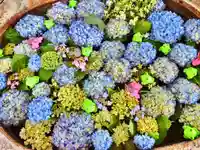 立志神社の手水舎