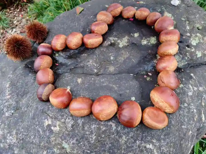 埼玉厄除け開運大師・龍泉寺(切り絵御朱印発祥の寺)(埼玉県)