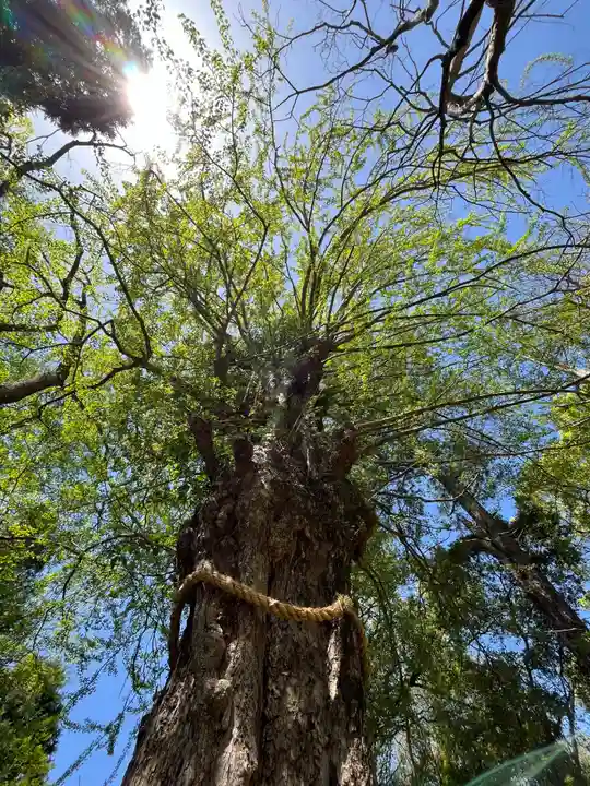 鞆江神社(明地)(愛知県)