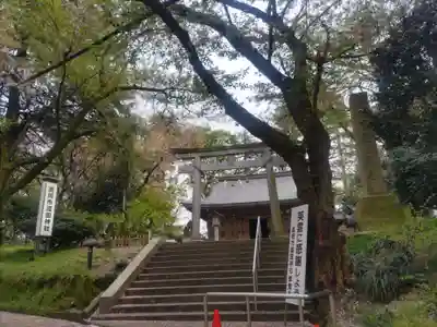高岡市護国神社の鳥居